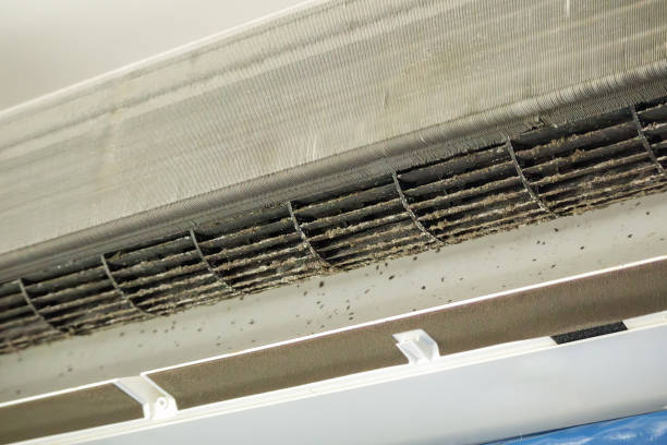 Best Air Duct Cleaning Near Me in MA
